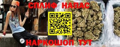 прущие грибы Комсомольск-на-Амуре