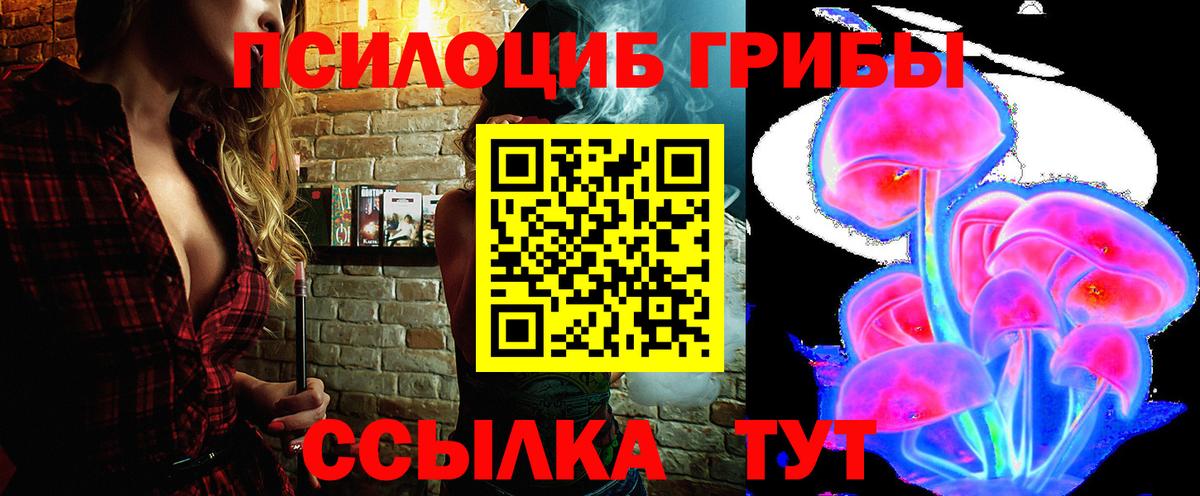Псилоцибиновые грибы GOLDEN TEACHER  Вход с VPN  Лениногорск  купить  цена  Псилоцибиновые грибы Psilocybe 